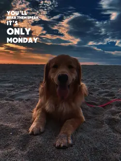 It's only monday 