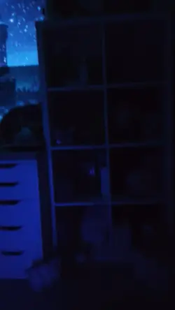 Projecteur x die