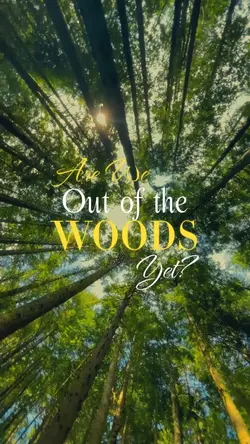 Out of the woods