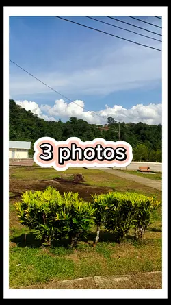 3 photos 