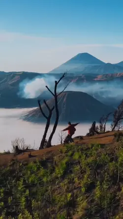 aku yang jatuh cinta