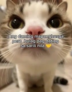 fr:<