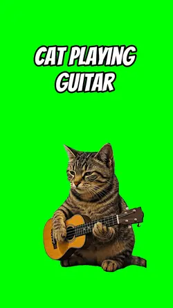 Cat playing guita