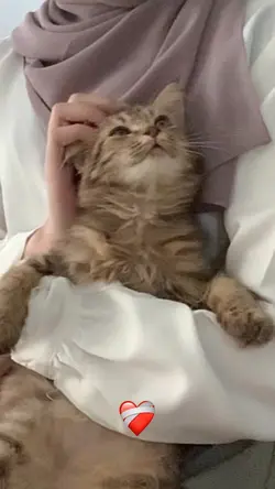 เพลงอิสลามน่ารักๆ