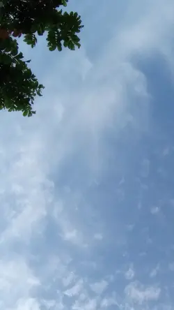 VLOG