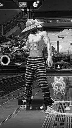 bw ver