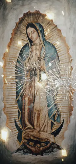 Vigencita