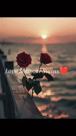 Love Shayari Status