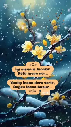 aylin_nur.07 