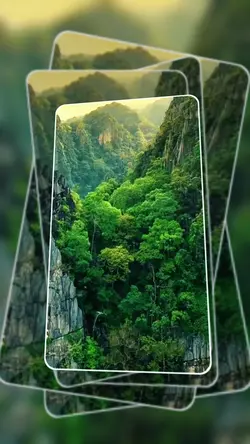 slow motion nature 
