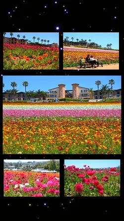 6 landscape shots