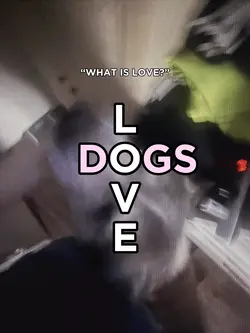 What is love?