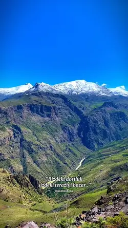 Pazarlık M'olur