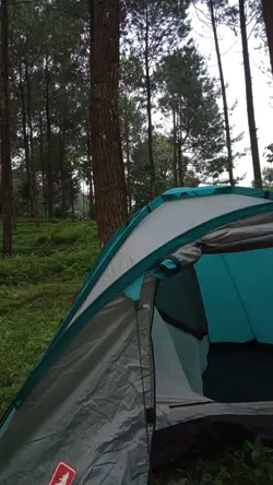 story wa baru
