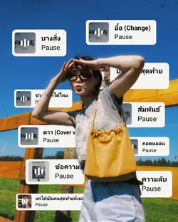 playlist Pause