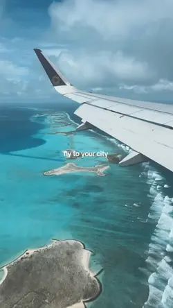 fly to your city 