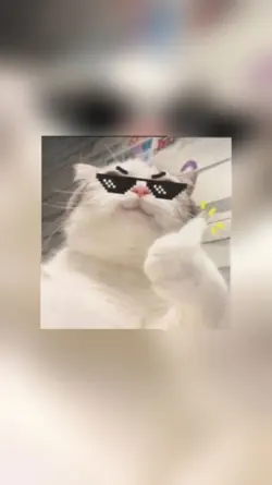 2 post easthitic