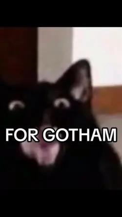FoR gOthAM 
