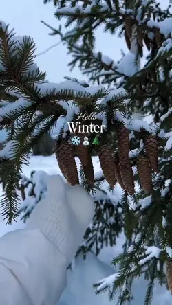 Hello winter 