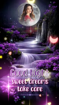 good night 