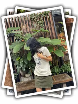 Photos Transition