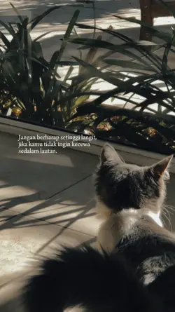 jangan berharap 