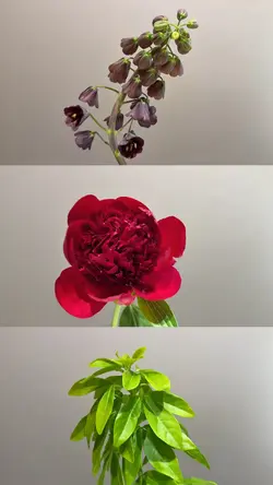 Grid template