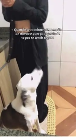 Medo de chuva