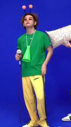 bts fancam