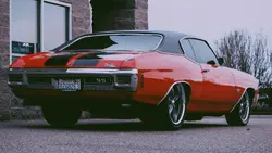 AMERICAN MUSCLE