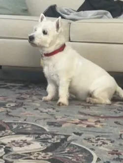marty