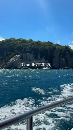 Goodbye 2025