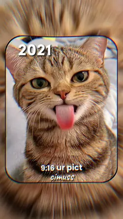 Trend 2021 VS 2025
