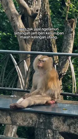 kelingan utang