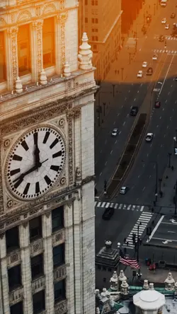 The city