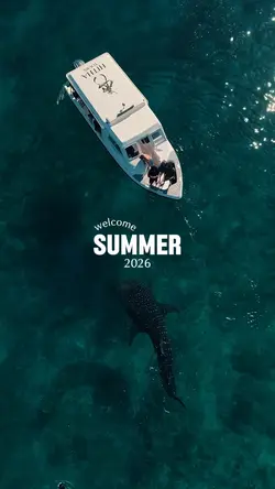 welcome summer