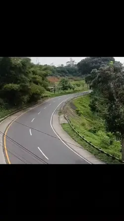Formula 1
