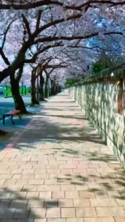 Indahnya jepang