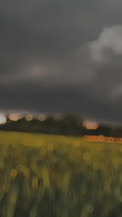 বৃষ্টি আসার আগ মূহুর