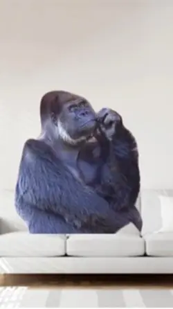 Gorilla thinking 