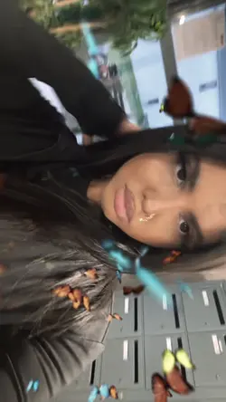 Butterfly live 🦋