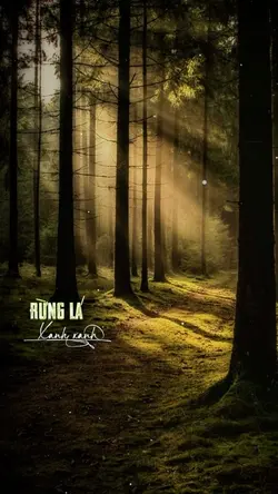 Rừng Lá Thấp