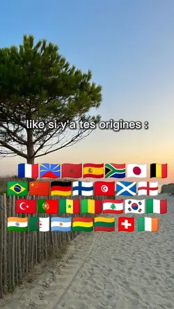 t'es origines