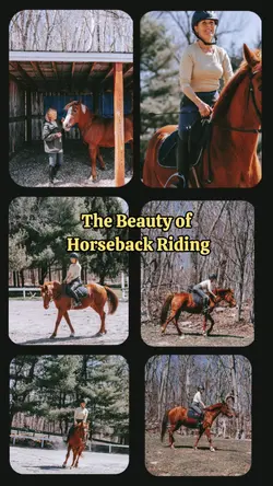 Horse Riding