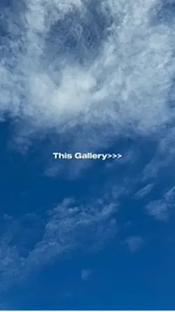 this gallery𐙚 >>