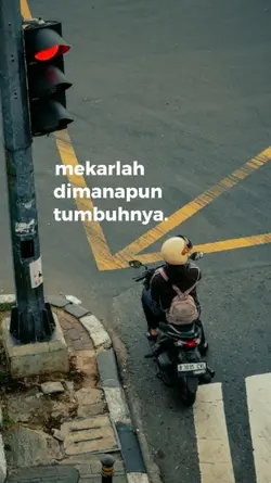naik
