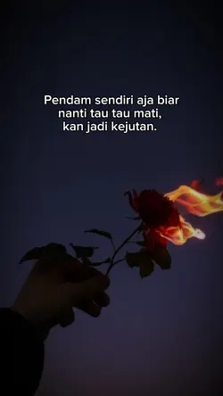 Story WA