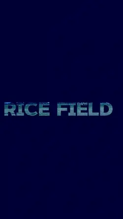 Rice field 