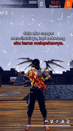 hanya sw 