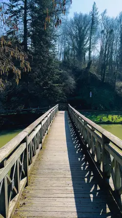 Landscape Template